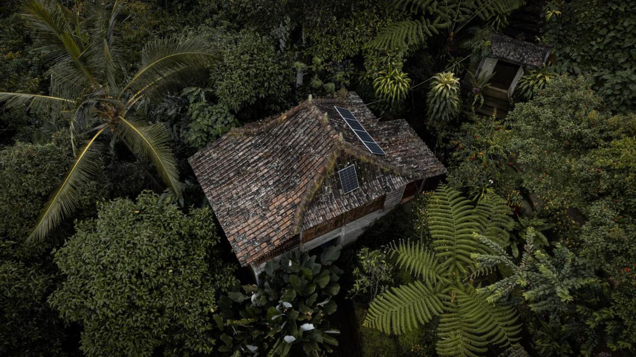 Kebun Kita Eco Lodge Padangan  Exterior foto