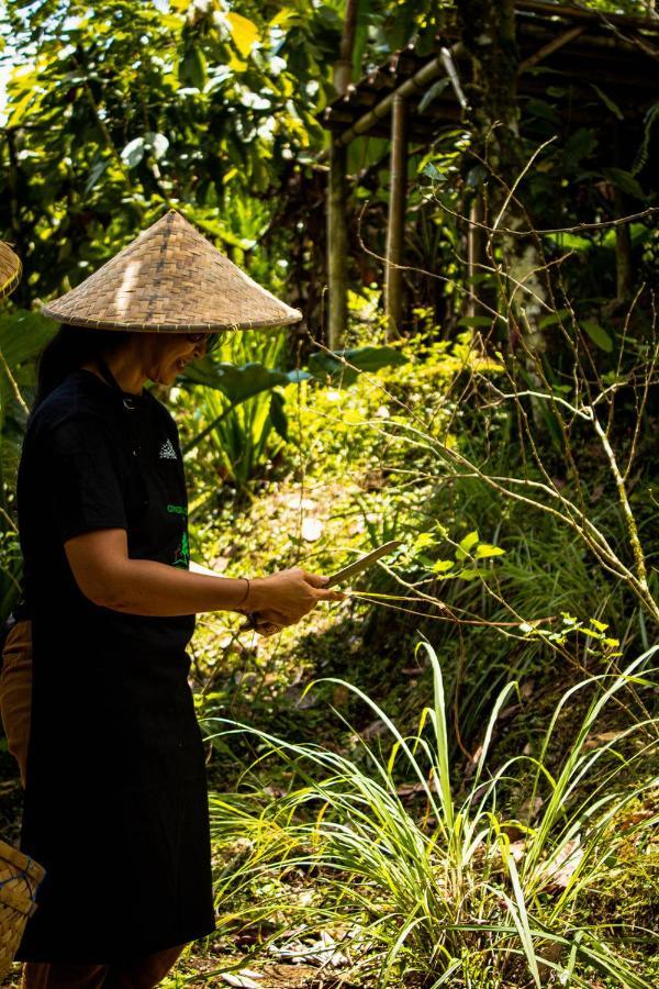Kebun Kita Eco Lodge Padangan  Exterior foto