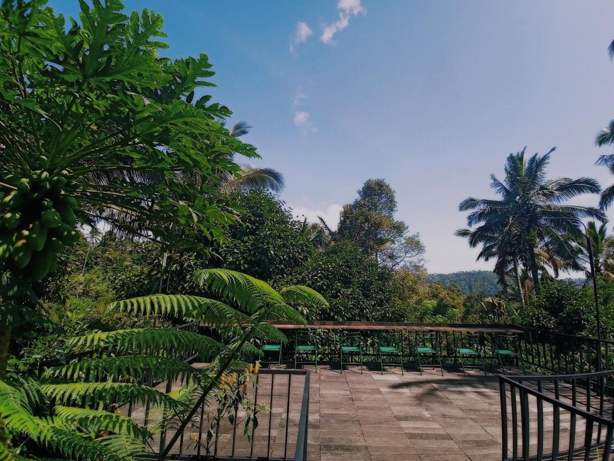 Kebun Kita Eco Lodge Padangan  Exterior foto
