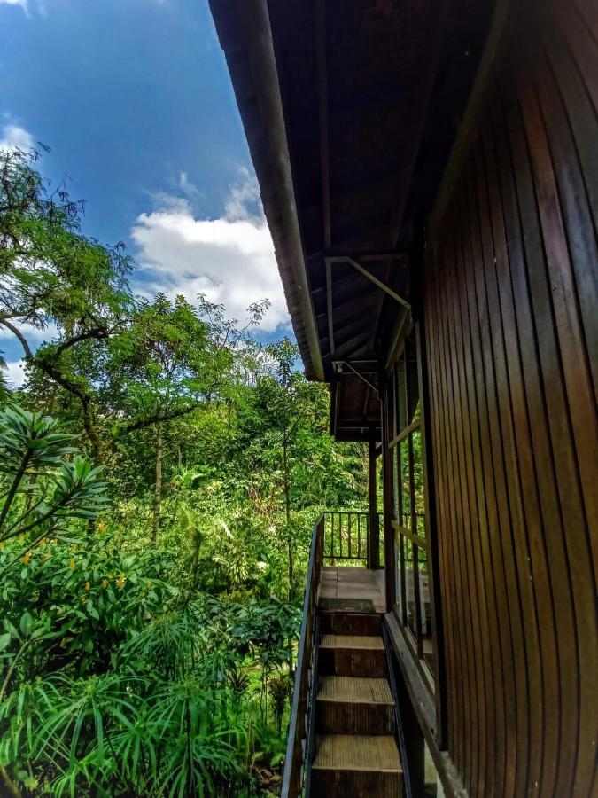 Kebun Kita Eco Lodge Padangan  Exterior foto