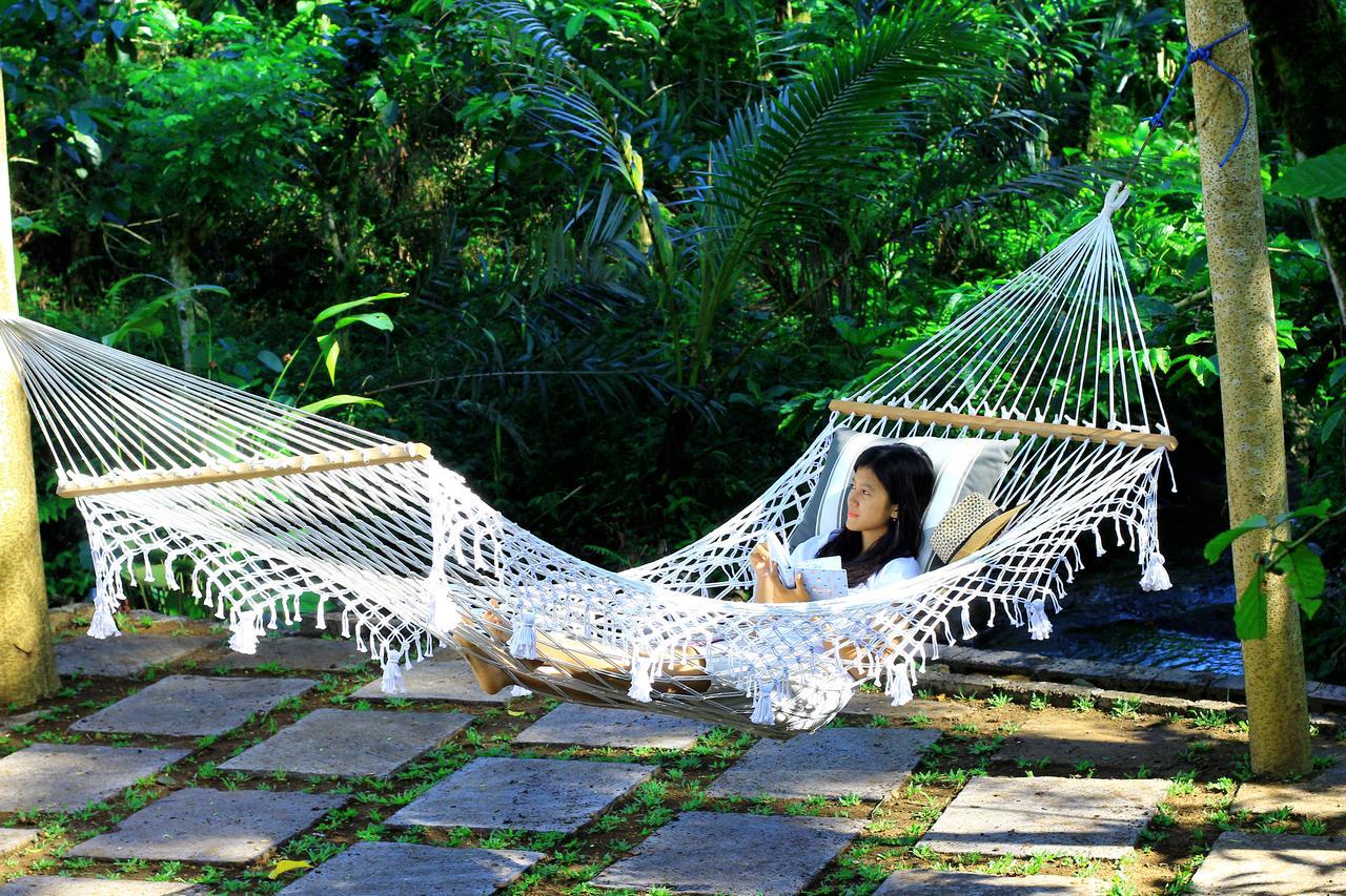 Kebun Kita Eco Lodge Padangan  Exterior foto